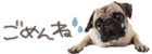 5554242.gif